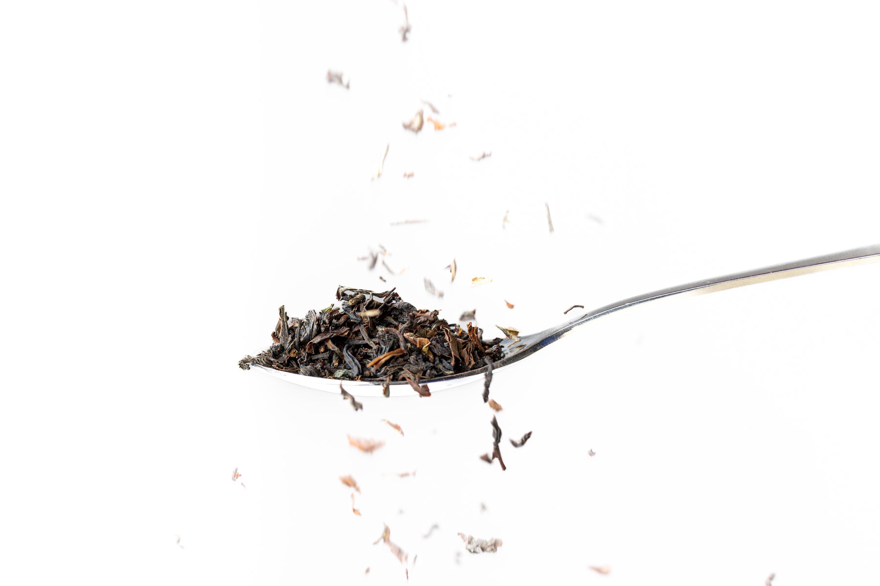STAY FRESH & BOLD - Bio Grüntee mit Minze